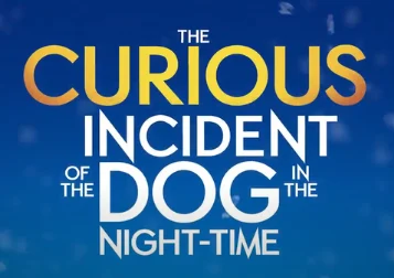 The Curious Incident of the Dog in the Night-Time