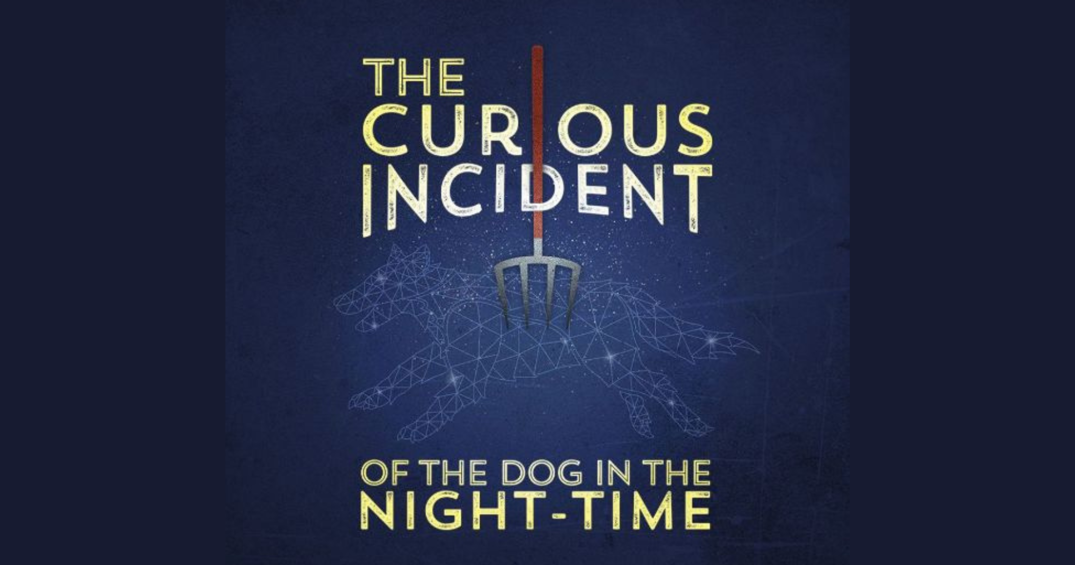 The Curious Incident of the Dog in the Night-Time